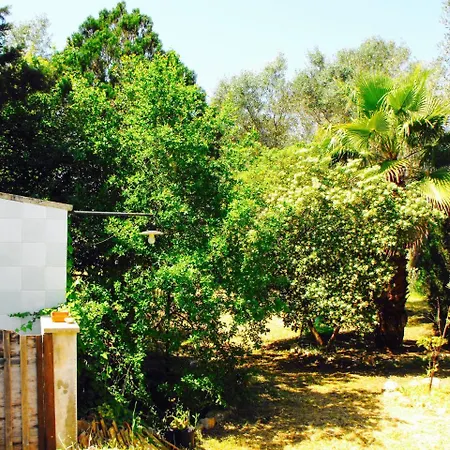 Villetta Colucce - Salento